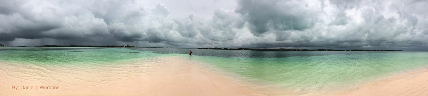 Click to See Next Image